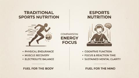Esports vs Traditional Sports Nutrition