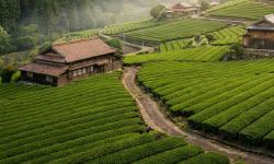 Featured image of post 浜松の奥座敷「オクハマ」始動。地元の本音と正直な魅力