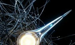 Featured image of post SXOの本質：読者を『最速で帰らせる』のが、2026年の正解だ。AI時代の新基準「解決速度」を徹底解説