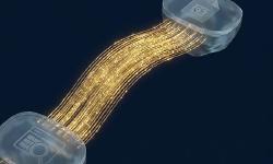 Featured image of post Search Consoleのデータを「1クリック」でスプレッドシートに！アドオン『Search Analytics for Sheets』活用術